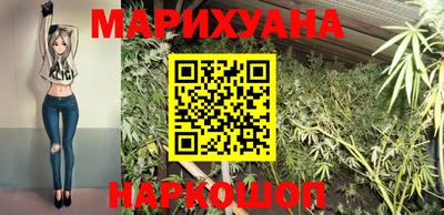 сатива Заводоуковск