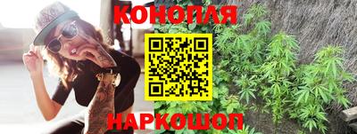 сатива Заводоуковск
