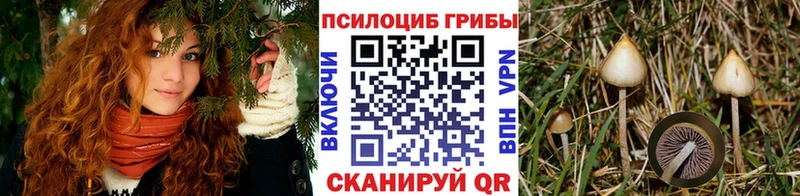 нарко площадка телеграм  Лабытнанги  Псилоцибиновые грибы прущие грибы  что такое  
